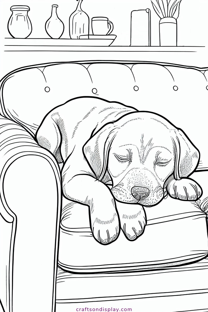 Dog sleeping on the couch Crafts on display