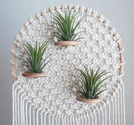 Free DIY macrame air plant hanger tutorial - How to make an embroidery hoop macrame planter