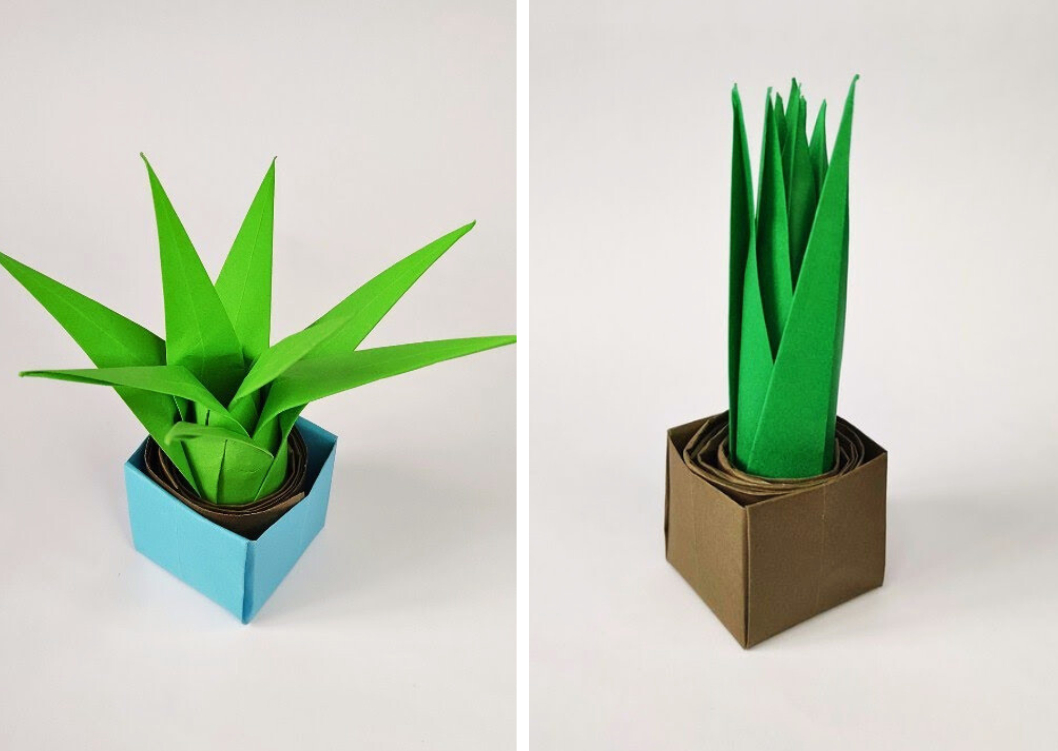 Create a cute origami aloe plant with this simple, step-by-step guide ...