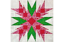 DIY Christmas Cactus Quilt Block