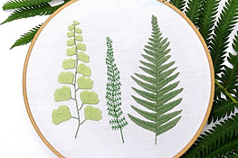 Free Botanical Ferns Embroidery Pattern