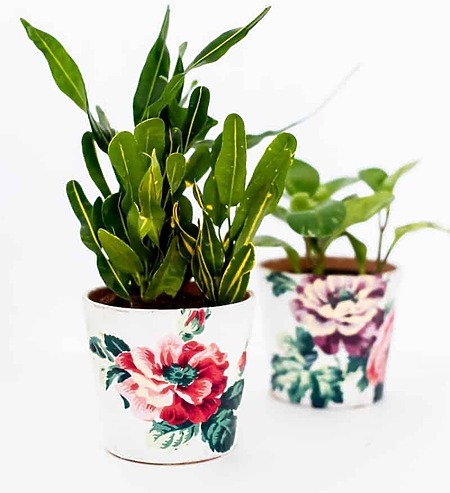 how to decoupage with napkins in this easy decoupage planter tutorial