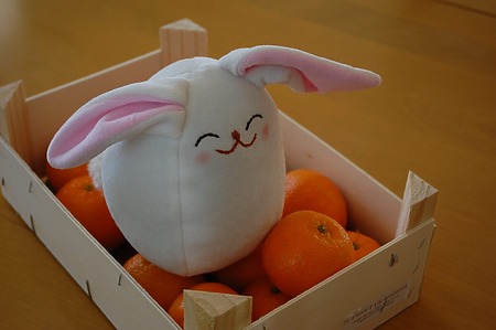 While She Naps Bunny: A round, chubby white bunny softie with a pink nose and long ears