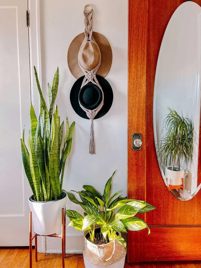 How to make a macrame hat hanger tutorial - Crafts on display