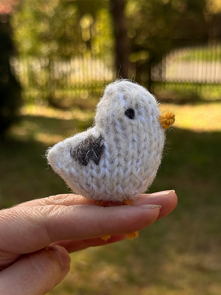 free pocket seagull knitting pattern