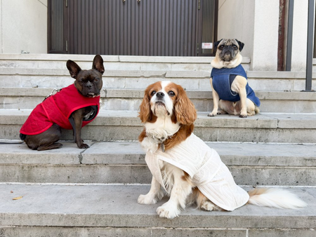 Sew a Dog Coat - Free Pattern in 11 Sizes | DIY Dog Jacket Tutorial
